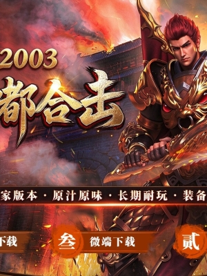 2003�ེϻ�����˻��ɰ�-��ҹ��˾��������桿
