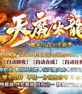 ħһ޵ְҵ-ʥGOM桿