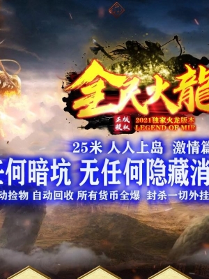 ȫ������ϵ�΢����ְҵ��-�Ϲ���ʿ��GOM���桿