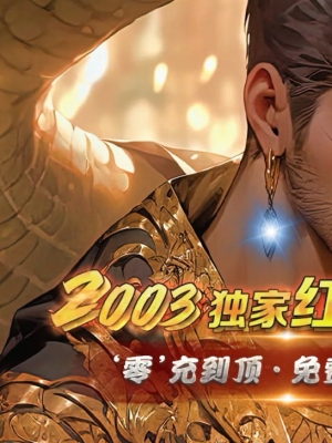��������Ż���2003�����������޵���ְҵ��-������Դ��GOM���桿