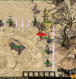 1.76Ƥ�ظ��Ź�����ְҵ��-�������������桿