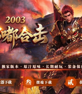 2003�ེϻ�����˻��ɰ�-��ҹ��˾��������桿